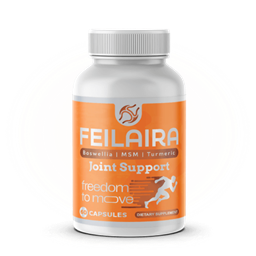 feilaira-joint-support.mywebselfsite.net logo